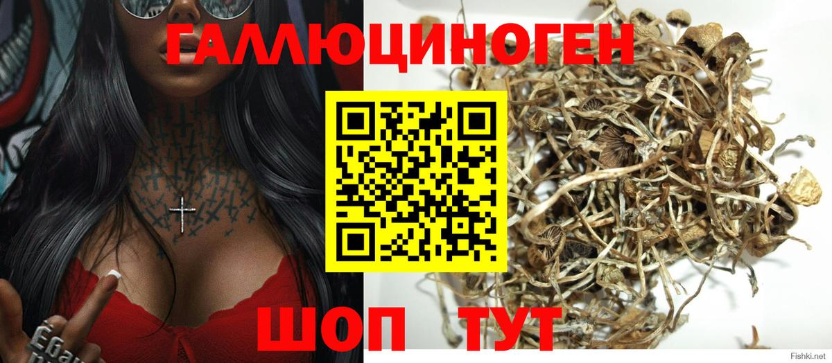 Галлюциногенные грибы мицелий  Вход с VPN  Малоярославец 